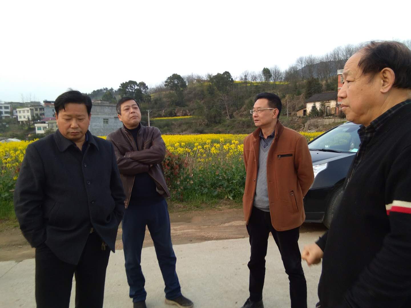 蕲春9.jpg