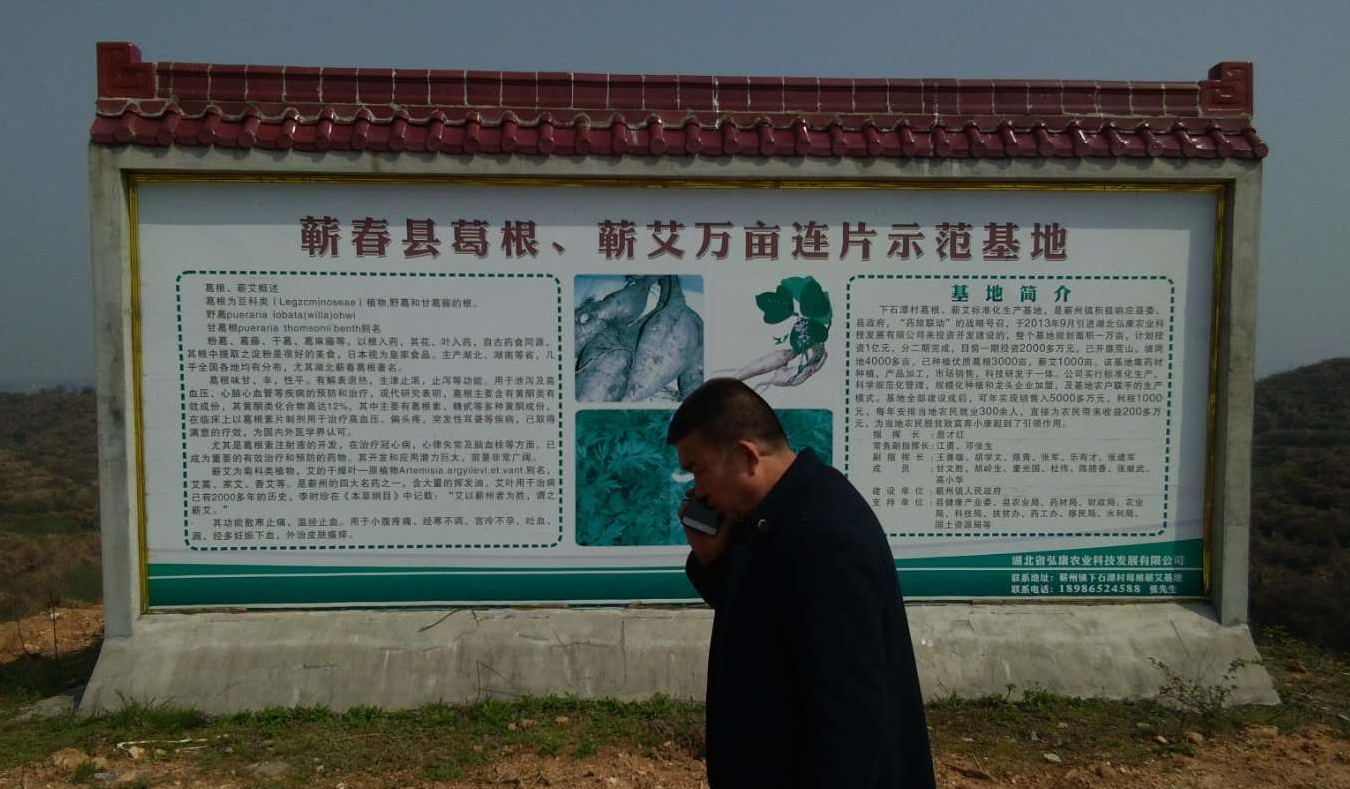 蕲春8_看图王.jpg